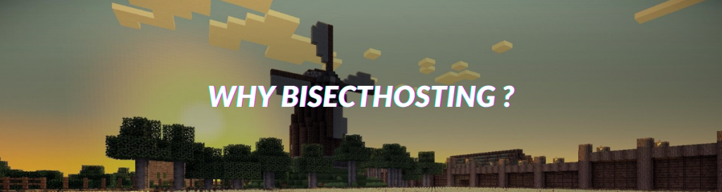 bisect hosting minecraft server